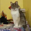 Отзыв от Нинель Ульянова